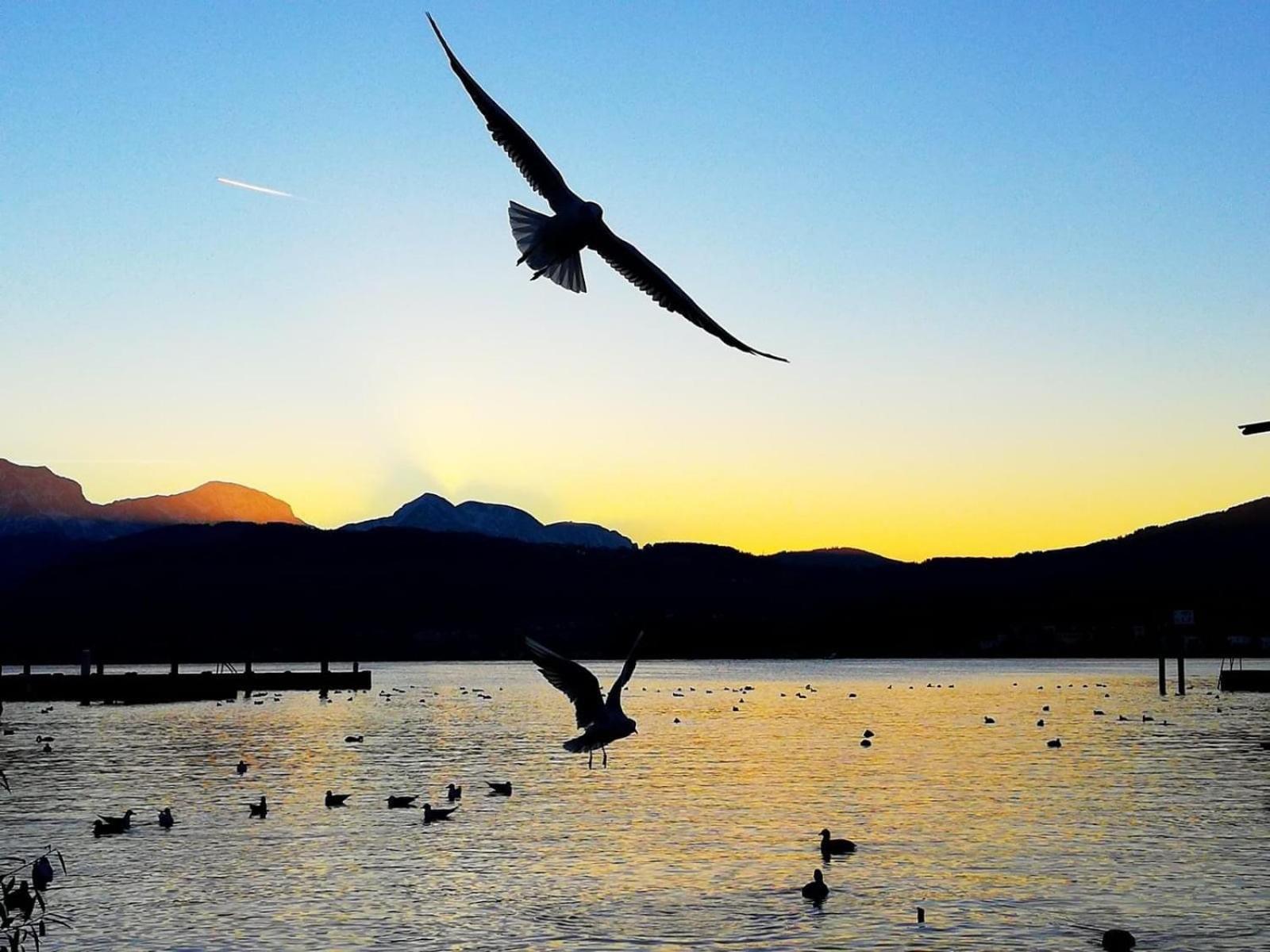 Seepanorama An Der Esplanade 1 Gmunden Ngoại thất bức ảnh