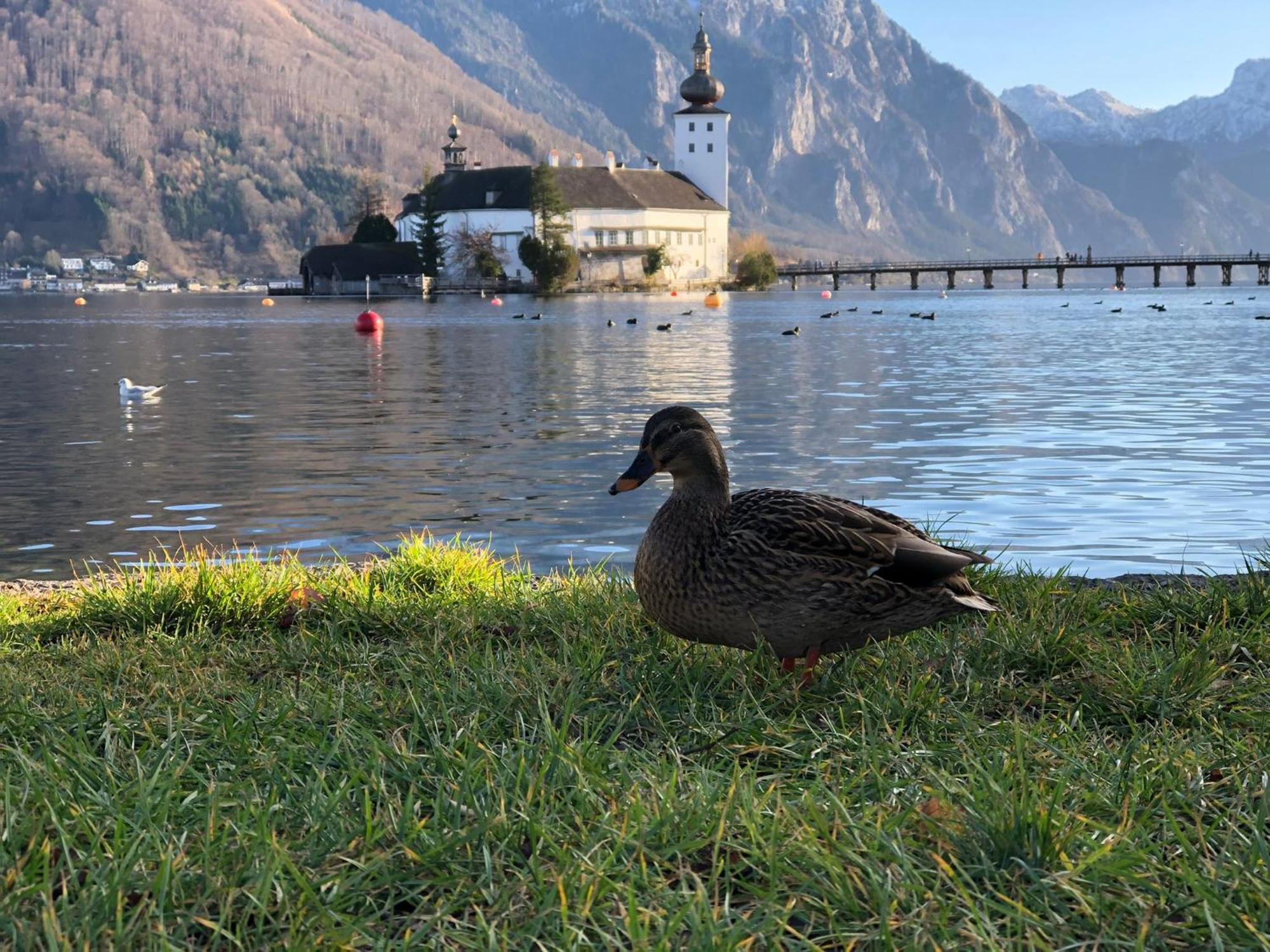 Seepanorama An Der Esplanade 1 Gmunden Ngoại thất bức ảnh